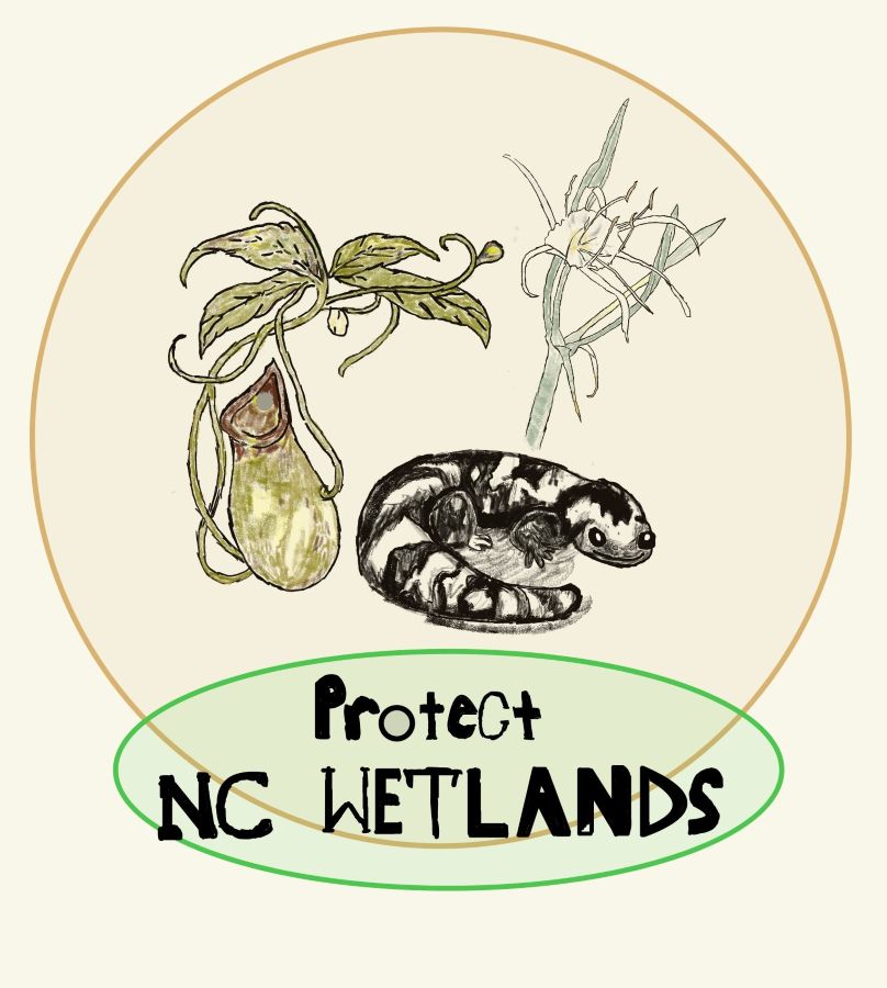Wetland protection sign surrounded by North Carolina wetland vegetation